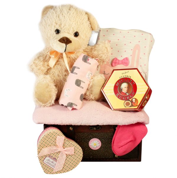 Baby Deep Pink Gift Basket