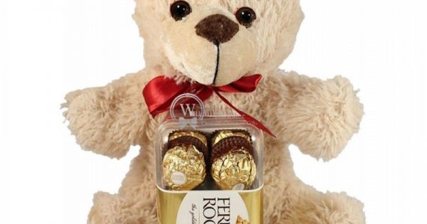 the love oasis teddy bear